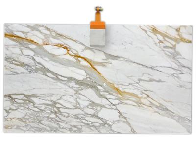 Calacatta Gold Marble