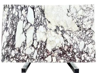 Calacatta Viola Marble