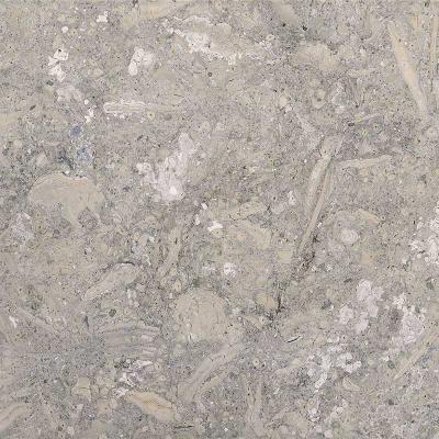 Grey Mocha Limestone